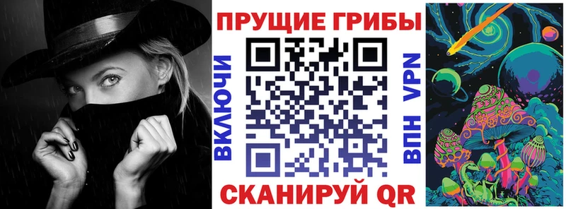где продают наркотики  Щучье  Галлюциногенные грибы мицелий 